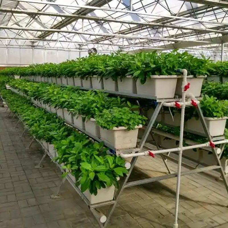 丽江市植物工厂玻璃温室 - 推荐